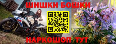 индика Заводоуковск