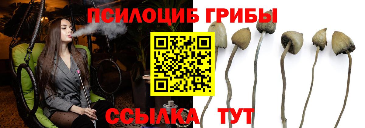 Псилоцибиновые грибы прущие грибы Лыткарино